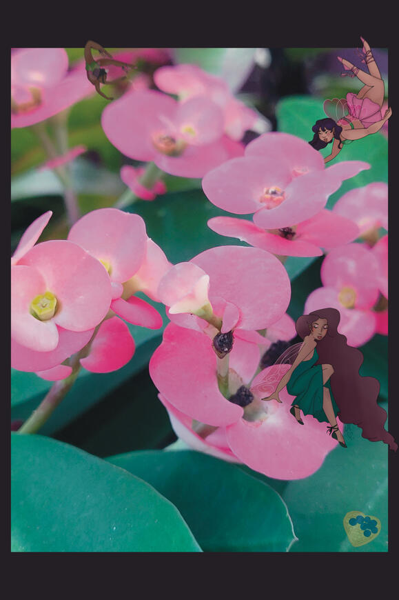 Fairies in my mother’s garden